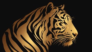 金色虎首 尽显王者风范