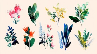 水彩风多彩花卉植物集合