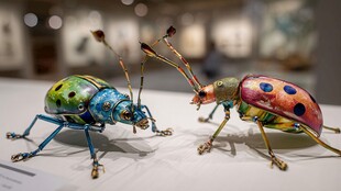 多彩金属甲虫艺术品展示
