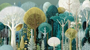 梦幻森林插画 多样树木景观