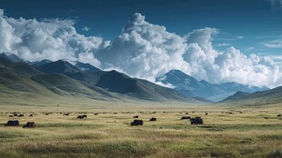 草原山峦间的壮阔风光