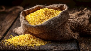 麻袋装的金黄小米