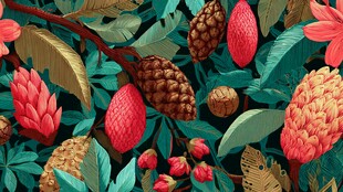 热带植物缤纷果实插画