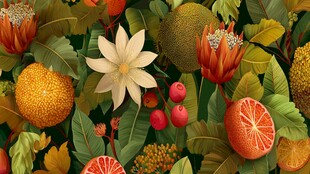 缤纷水果花卉插画图案