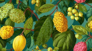 多彩热带水果与绿叶图案