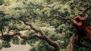 手绘繁茂大树创作瞬间