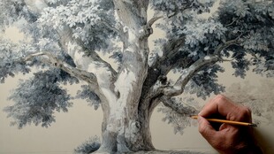 手绘大树创作瞬间