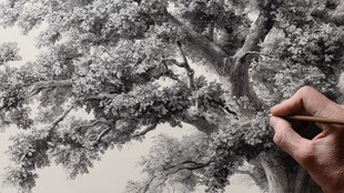 手绘大树细节创作瞬间