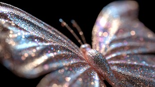 梦幻闪耀蝴蝶微距特写