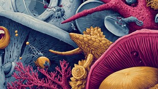 奇幻海底微观生物景观