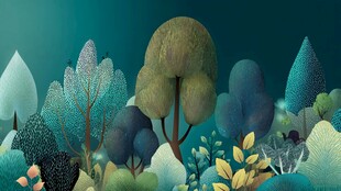 梦幻森林插画 静谧自然之景