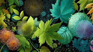 梦幻多彩植物叶片插画