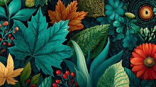 秋日缤纷植物插画