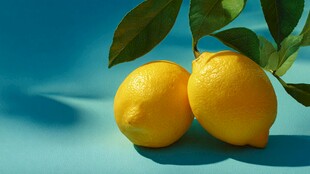 两个鲜柠檬带绿叶特写