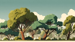 夏日葱郁树林景观