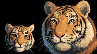 大虎与小虎的温馨瞬间