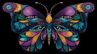 绚丽多彩的梦幻蝴蝶图案