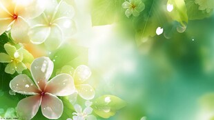 清新梦幻的花卉背景图