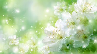 春日白花绽放梦幻背景