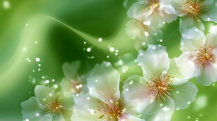 梦幻绿背景下的唯美花朵