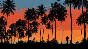 夕阳下的棕榈林与独行者