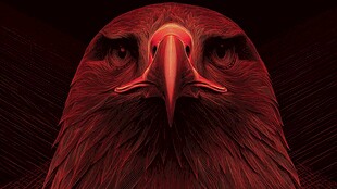 红色雄鹰特写 神秘而威严