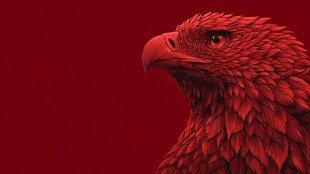 红色雄鹰特写