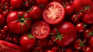 饱满番茄与红浆果的盛宴