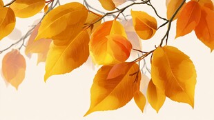 金秋黄叶枝头美如画