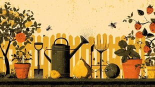 田园园艺工具与蔬果景象