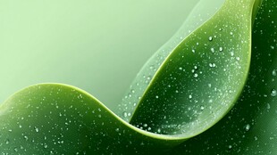 翠绿叶片上的晶莹水珠