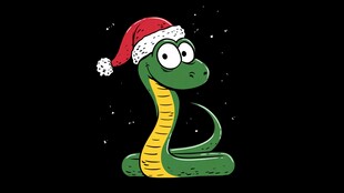 戴圣诞帽的可爱绿蛇