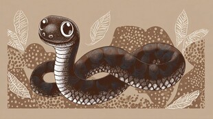 可爱插画风眼镜蛇图案