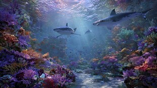 梦幻海底世界的鲨鱼巡游