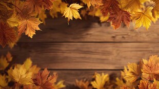 秋意枫叶装点木质背景