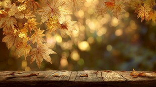 秋日枫叶装点古朴木桌