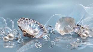 梦幻贝壳与璀璨珠宝组合