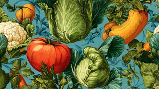 缤纷蔬菜插画 清新田园风