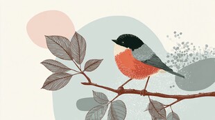 枝头小鸟的清新插画