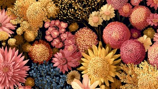 缤纷多彩花卉艺术图案