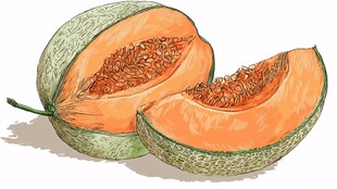 手绘切开的美味哈密瓜