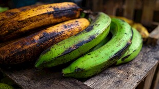 青黄相间的新鲜香蕉