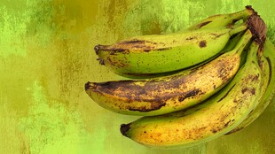 熟透带斑的黄绿色香蕉