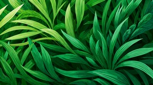 翠绿叶片构成的自然美景