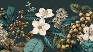 复古风花卉果实植物插画