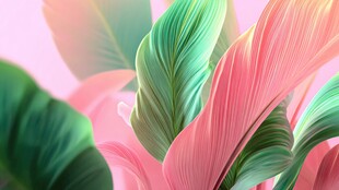 梦幻多彩叶片特写