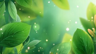 清新绿叶梦幻背景图