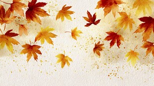 秋日枫叶飞舞水彩背景图