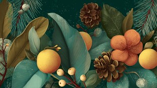 冬日植物花卉插画场景