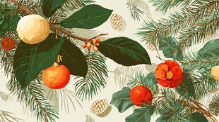 冬日枝头的多彩果实花卉